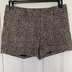 White House Black Market Leopard shorts